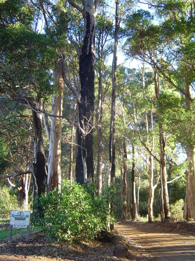 Kangaroo Valley Cottage Denmark Bagian luar foto