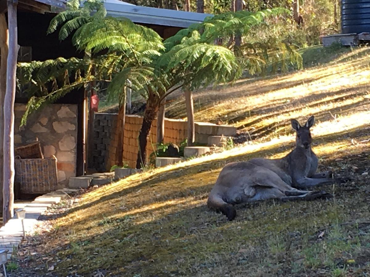 Kangaroo Valley Cottage Denmark Bagian luar foto